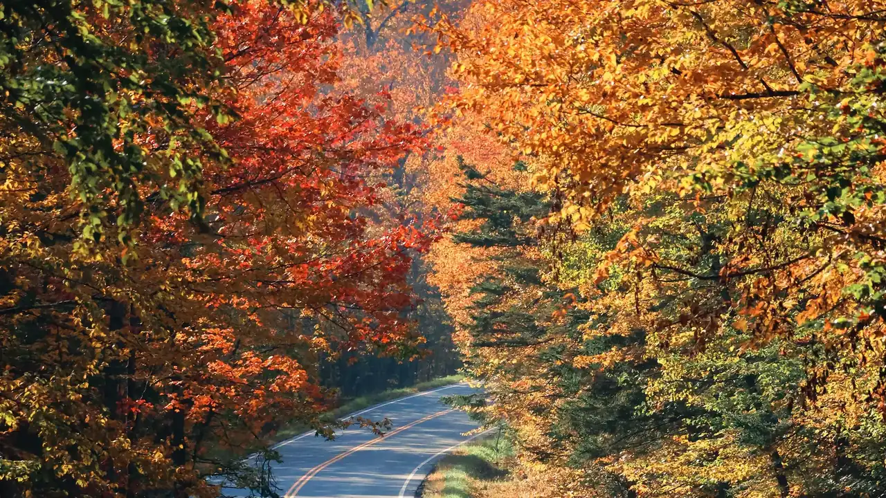 Winding two-lane road through peak fall foliage